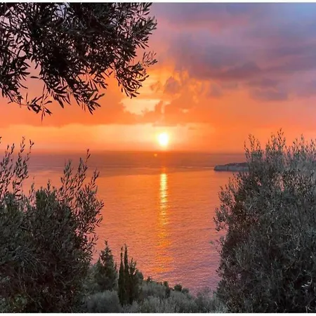 Bohemia Experience *